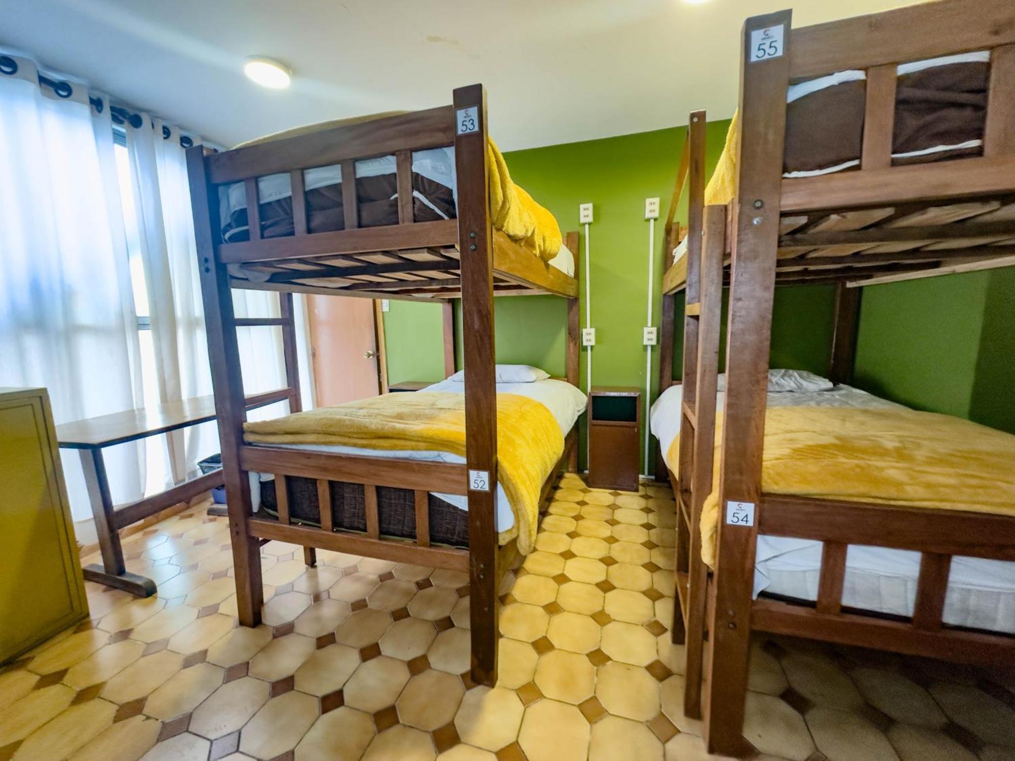 Lobo Casa de hóspedes La Paz
